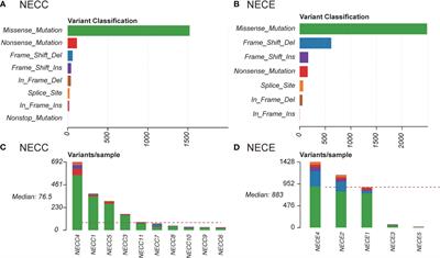 Whole exome sequencing identifies common mutational landscape of cervix and endometrium small cell neuroendocrine carcinoma